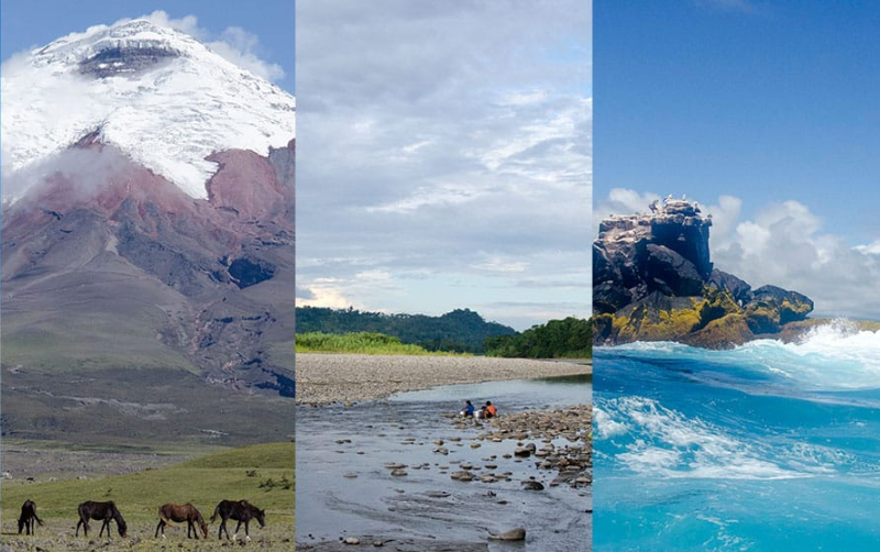 Nuestros Proyectos becas zonas de desarrolo